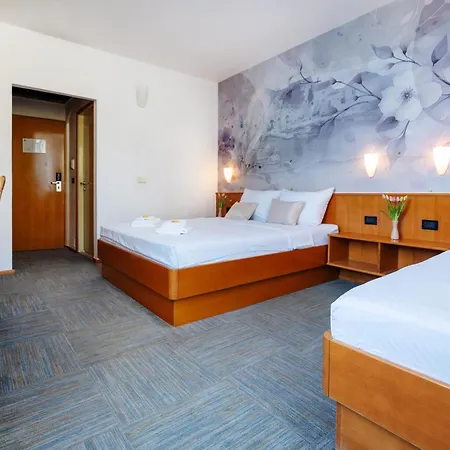 Newly Renovated Kastil Bol